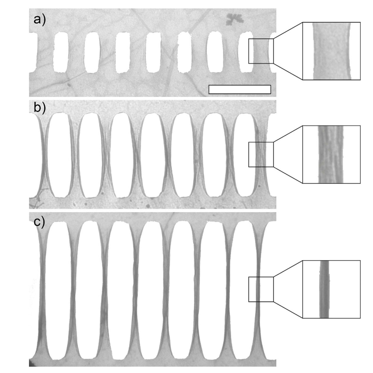 NEW PAPER in 2D Materials